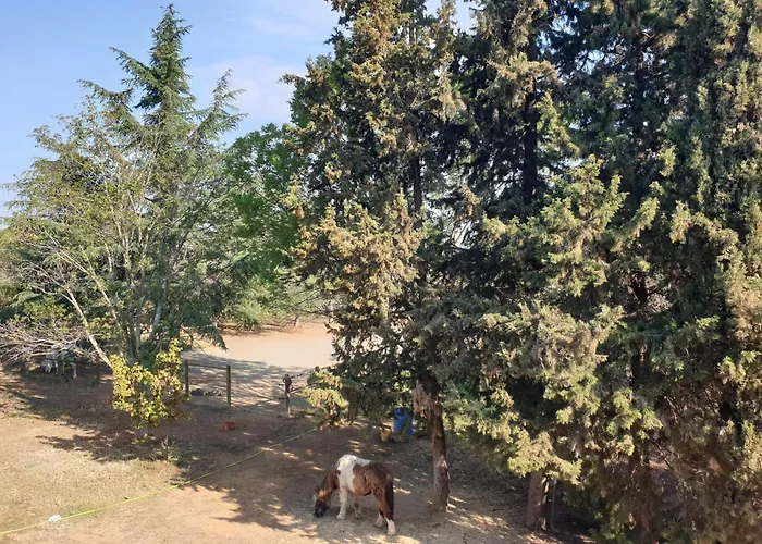  D'hôtes Dans Propriété Rurale